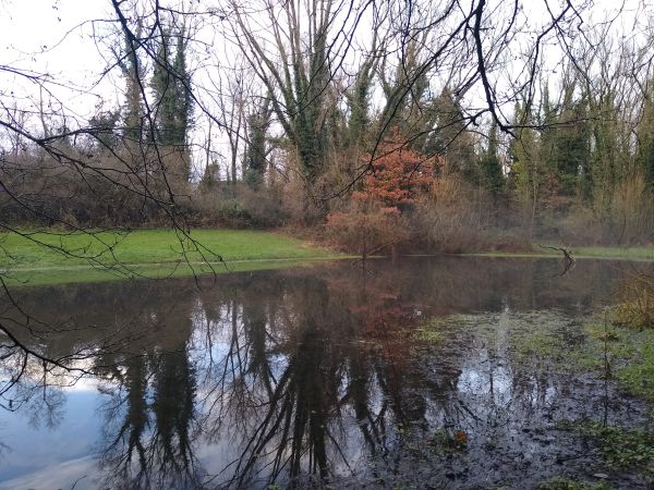 Water Features